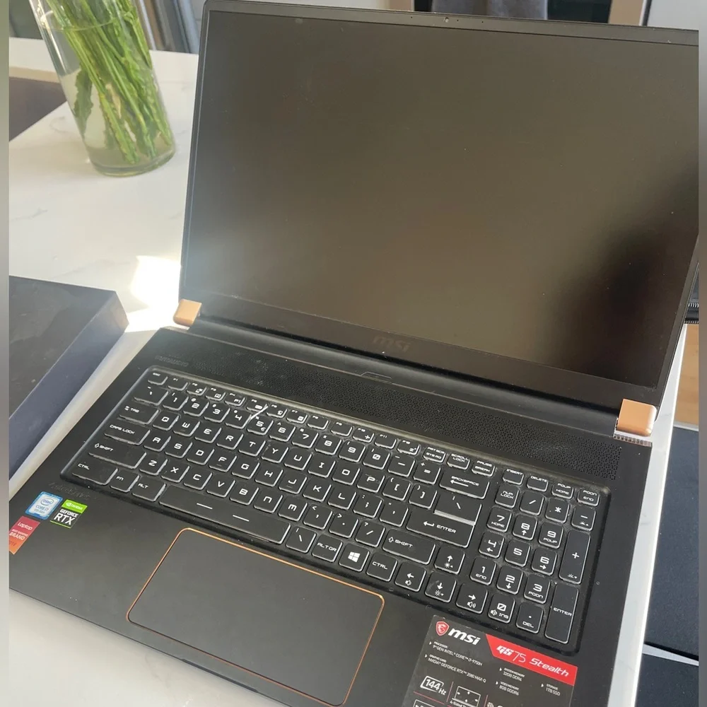 MSI gs75 stealth